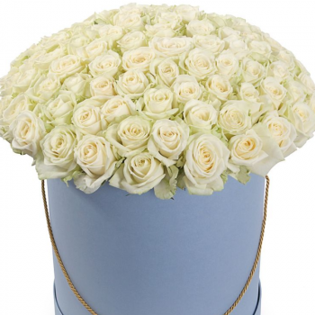 Букет из роз "Белое облако"